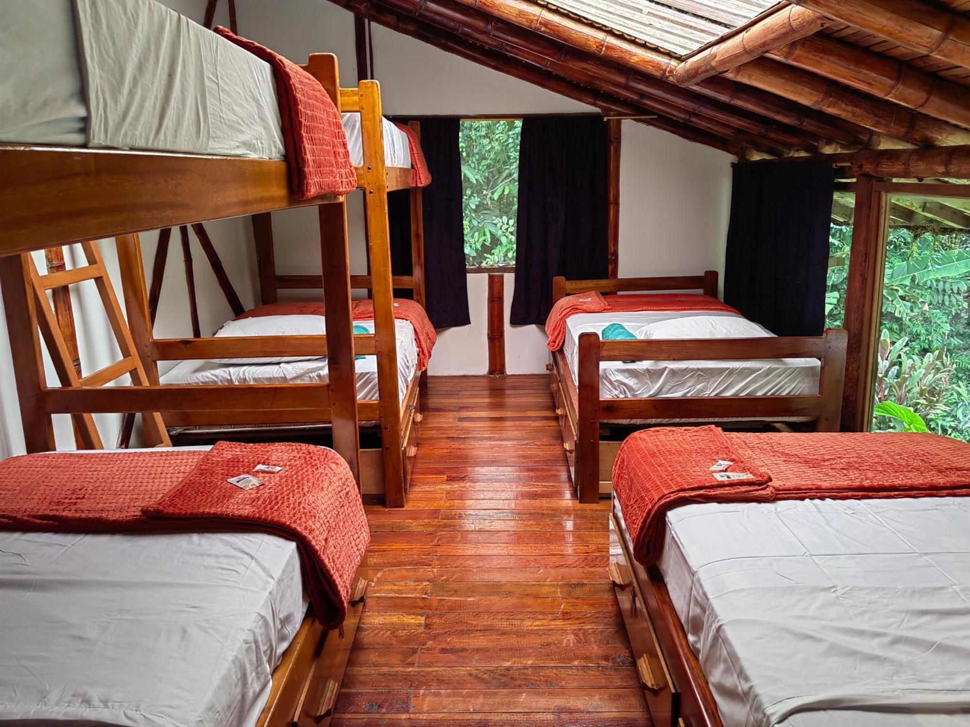 Wisdom Forest Lodge Tena Kültér fotó