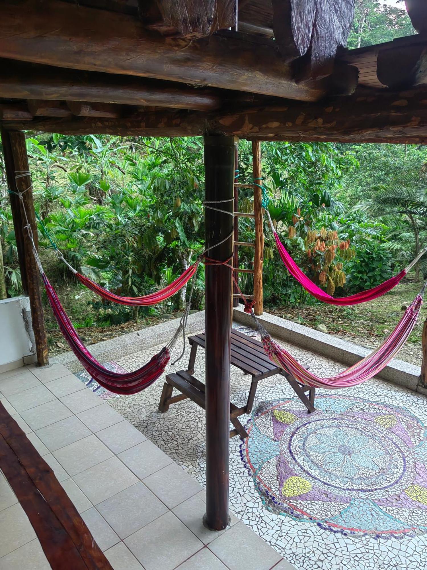 Wisdom Forest Lodge Tena Kültér fotó